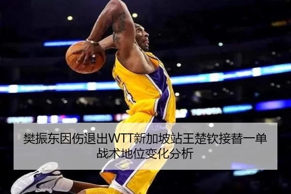 樊振东因伤退出WTT新加坡站王楚钦接替一单战术地位变化分析